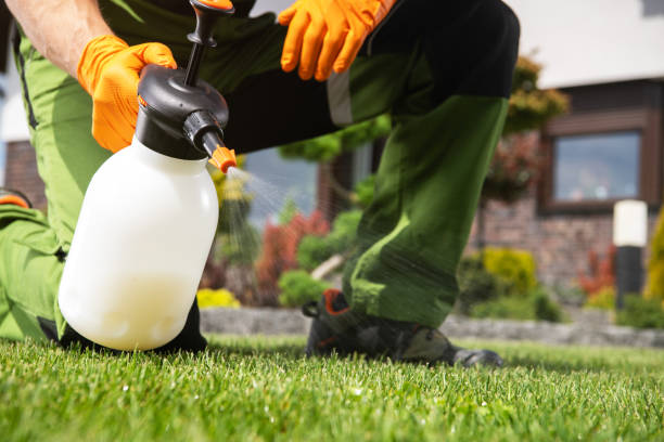 Best Wasp Removal Services  in Clemson University, SC