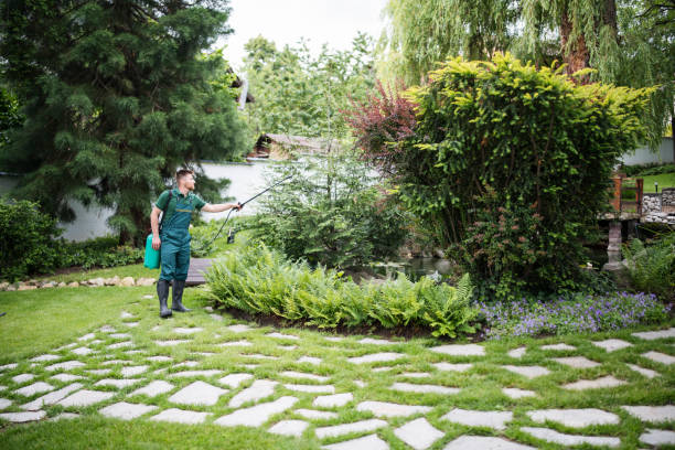 Best Best Pest Control Companies  in Clemson University, SC