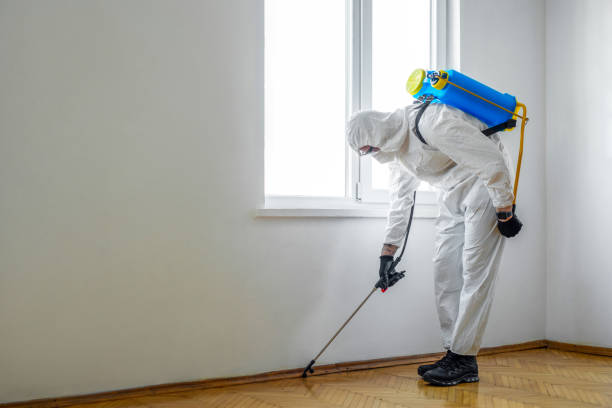 Professional Pest Control in Clemson University, SC