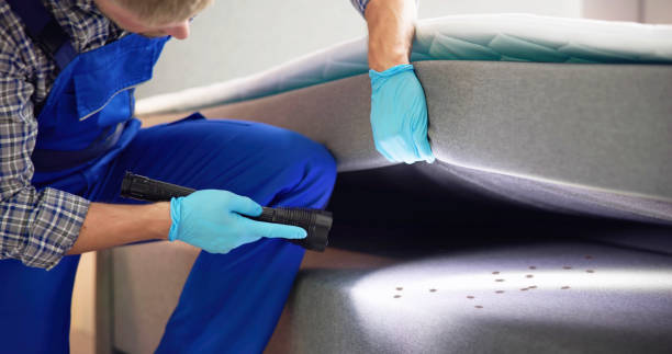 Best Cockroach Control Services  in Clemson University, SC