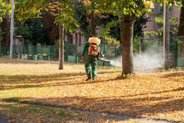Best Rat Extermination Near Me  in Clemson University, SC